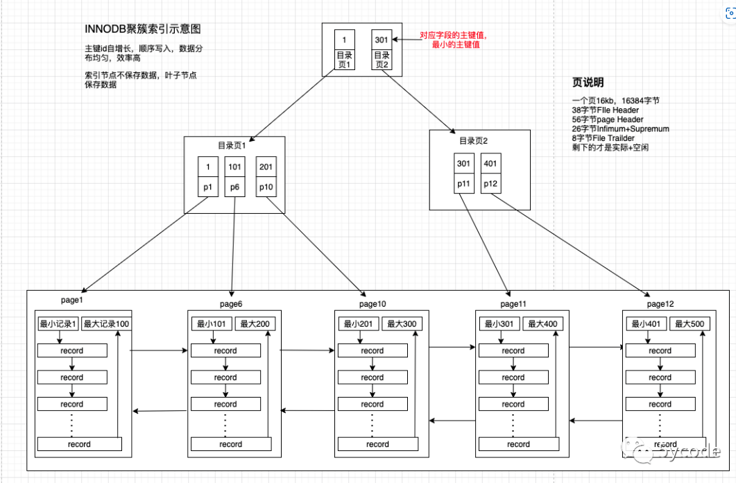 B+树